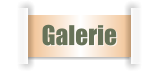 Galerie